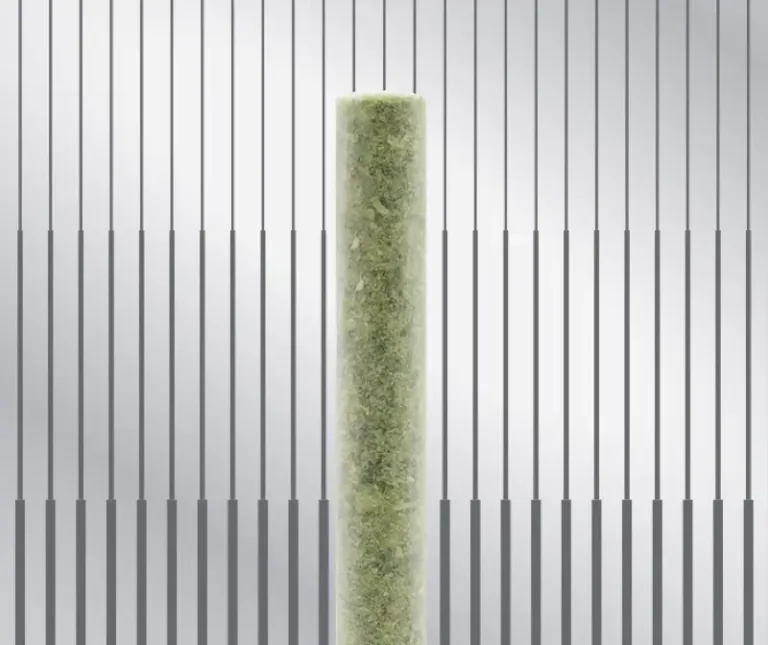 starlight-mini-blunt-1@2x